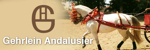 Gehrlein Andalusier 